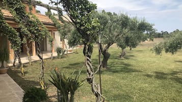 Jardin
