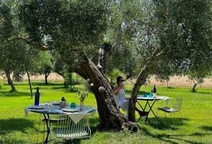 Exterior - Masseria Scannaturco (Pisticci)