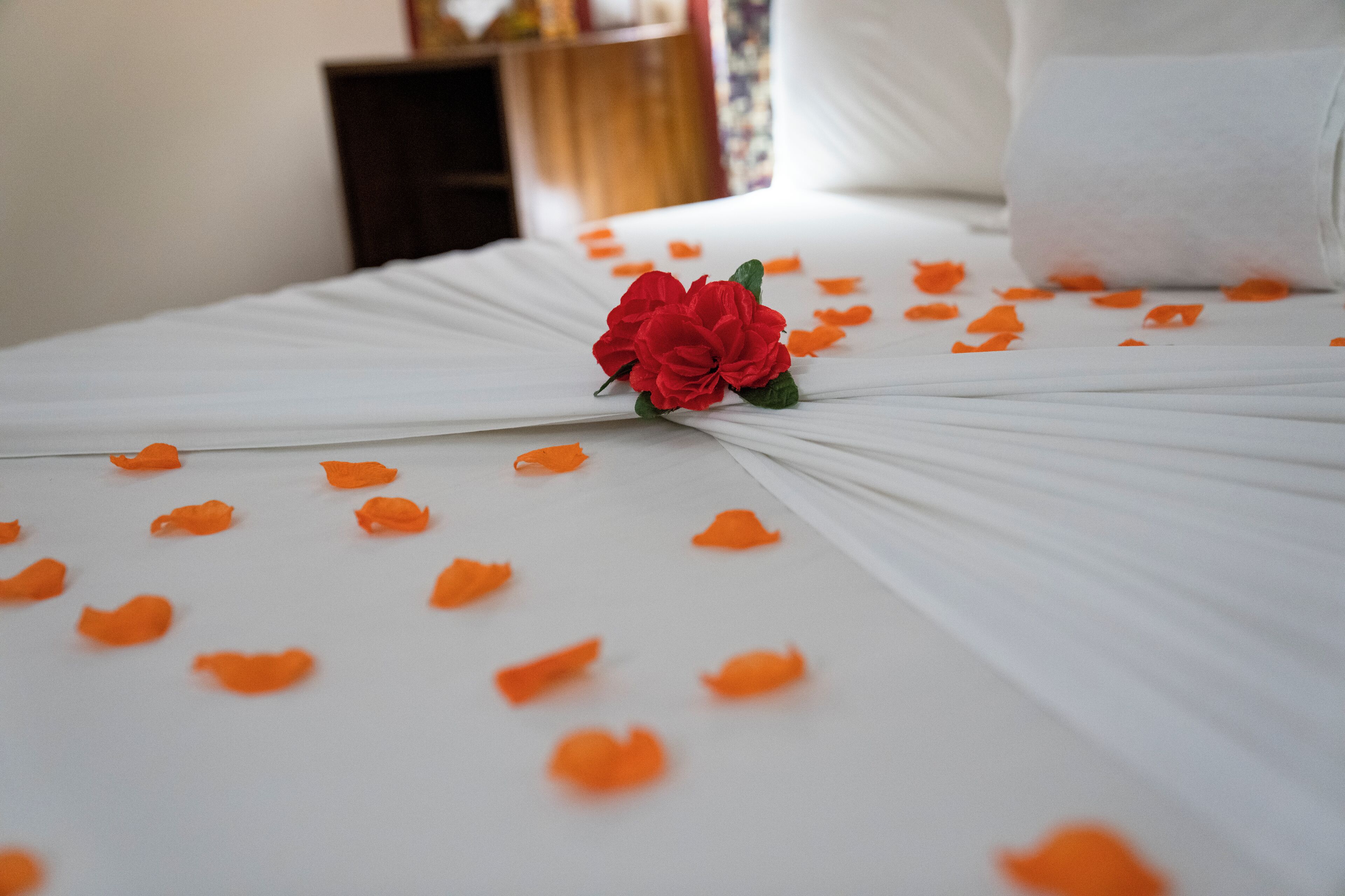 Een bed met oranje bloemblaadjes en een rode roos.