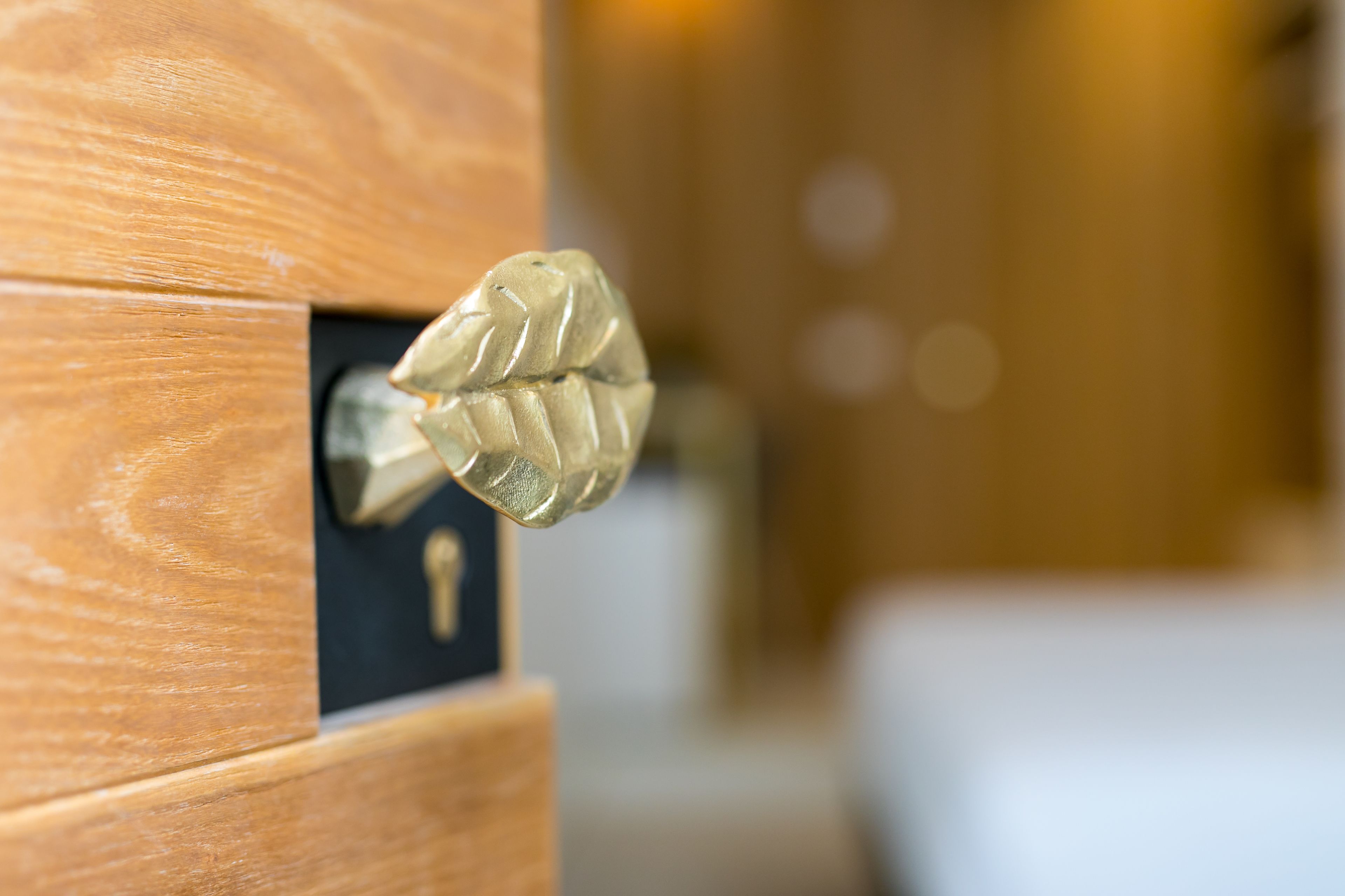 Gros plan sur une poignée de porte en laiton, fixée à une porte en bois.