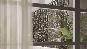 Un intérieur moderne avec une cloison en verre, un canapé blanc et une plante en pot.