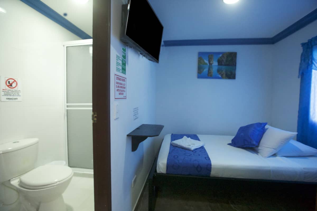 A bedroom with a bed, a TV mounted on the wall, a shower area, and a toilet.