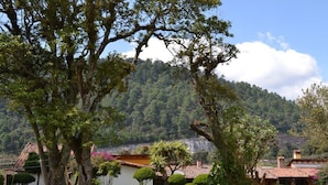 Garden view - Hotel Boutique El Campirano (Amanalco de Becerra)