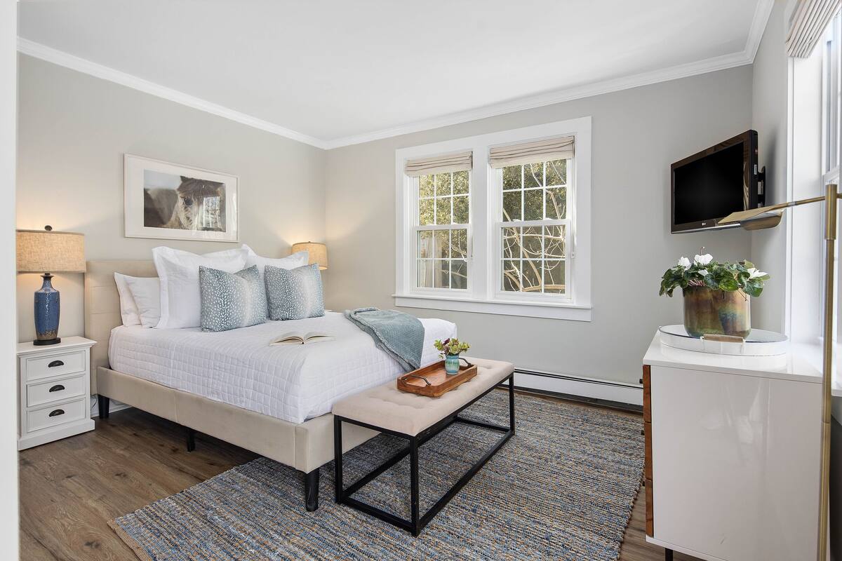 A bedroom with a bed, bedside tables, a TV, a window, and a plant.