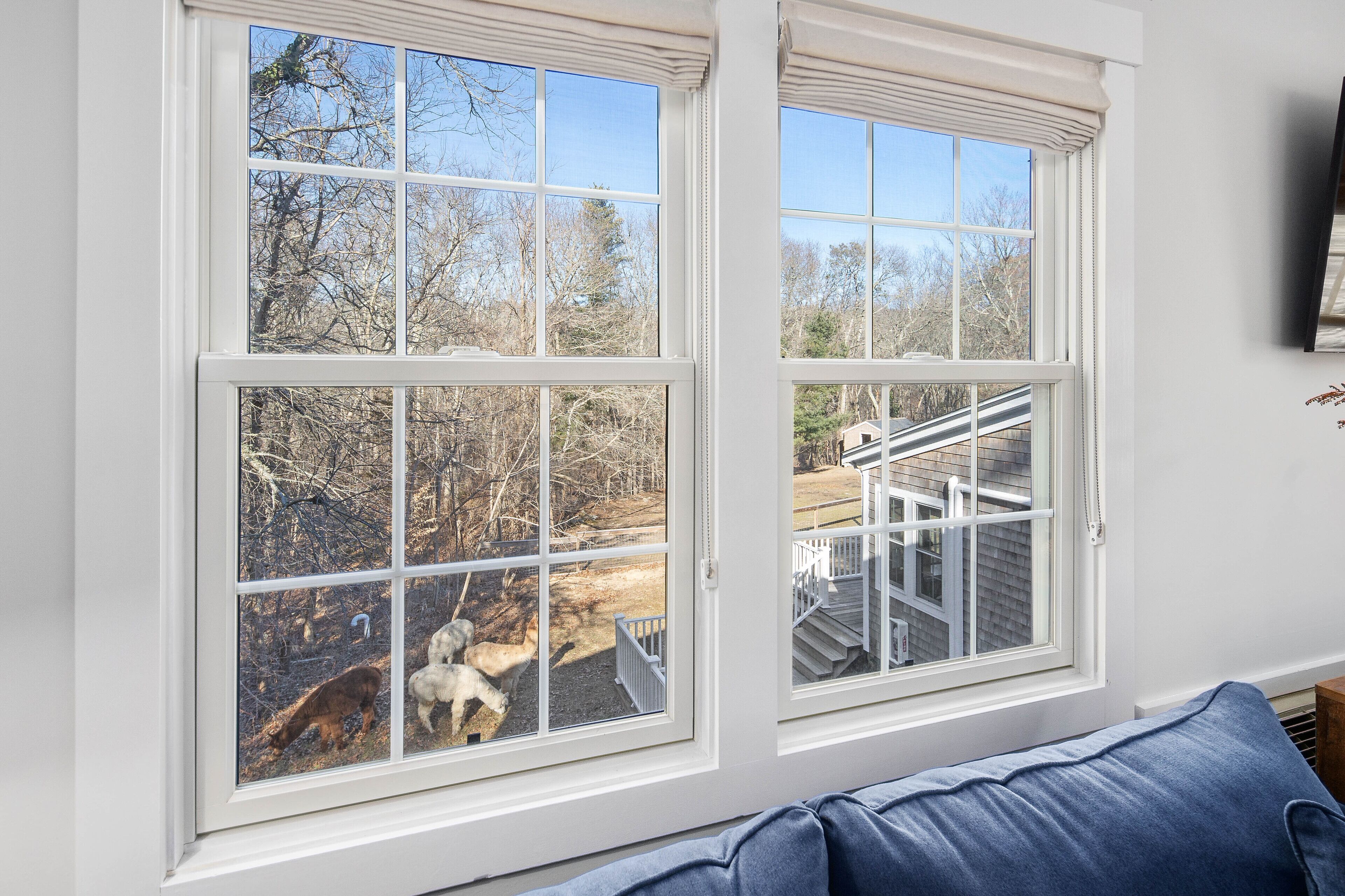 A room with a large window overlooking a yard with a staircase and a dog.