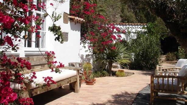 A white building with pink bougainvillea vines, a wooden bench, and a wooden chair.