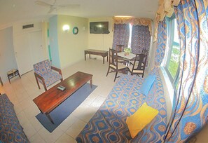 Flatskjerm-TV og DVD-spiller