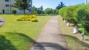A pathway leading to a building with multiple windows, surrounded by well-maintained grass and trees. - Sword Fish Beach Suite at Turtle Towers (Ocho Rios)