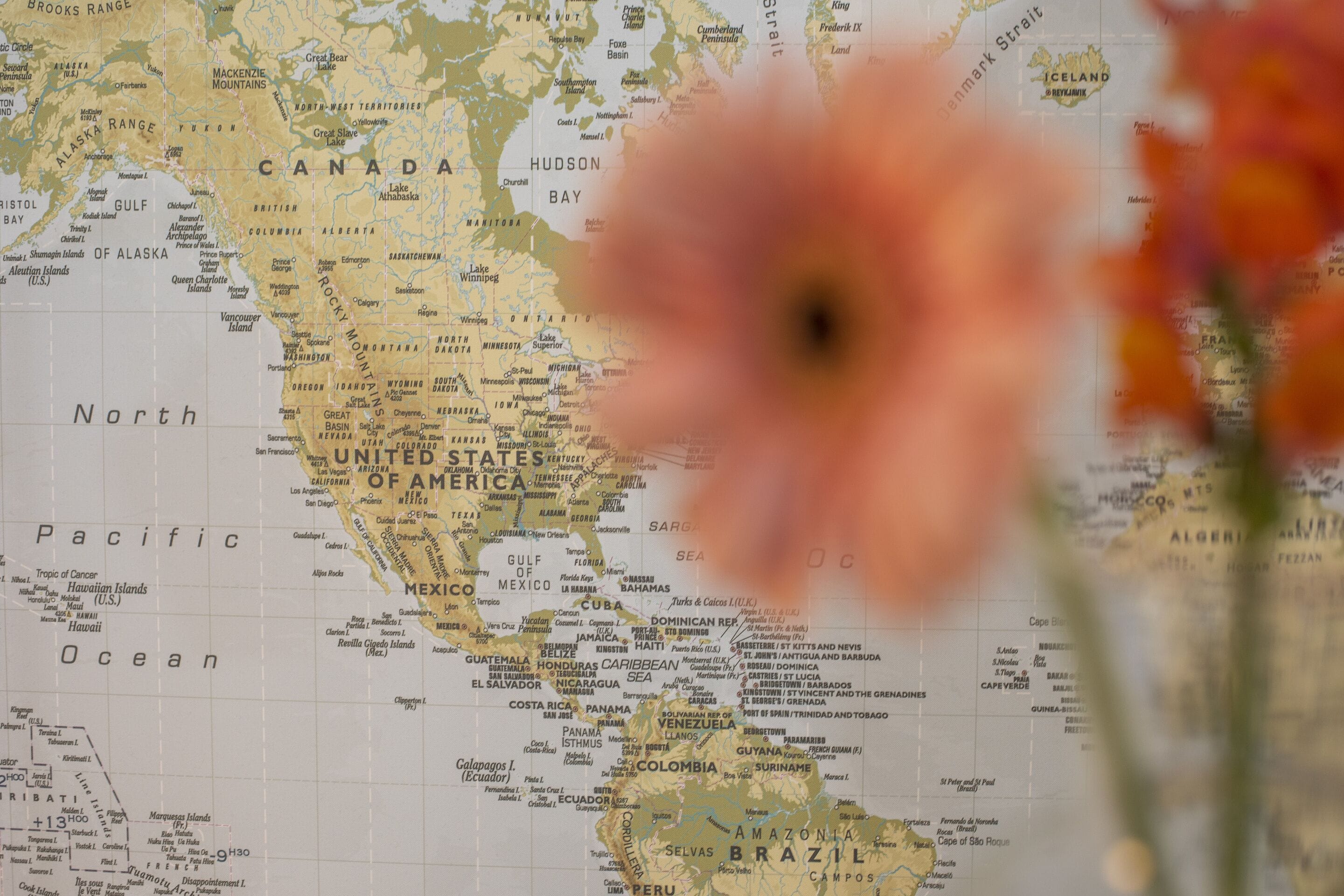 Foto - Hayes Valley Inn