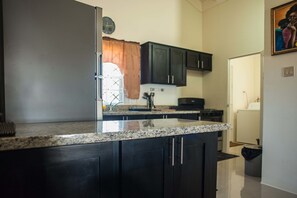 Full-size fridge, microwave, oven, stovetop