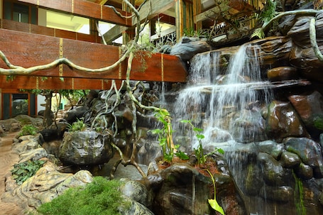 Actividades para niños