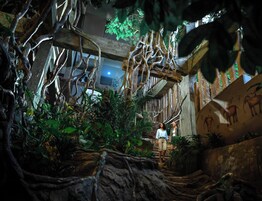 Children's activities