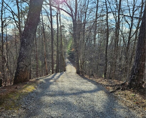 A gravel path through a forest with tall trees on either side. - Gatlinburg Cabin, Free Tickets, Secluded, Views, Hot Tub, Heart Tub, Internet (Gatlinburg)