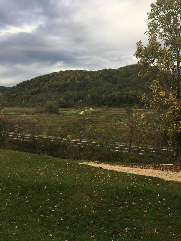 Un paisaje rural con un sendero de tierra, campos cubiertos de hierba y una colina boscosa.