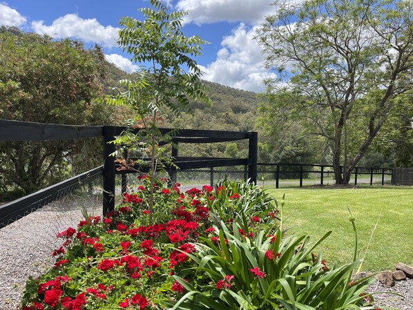 A garden with red flowers and a wooden pergola.