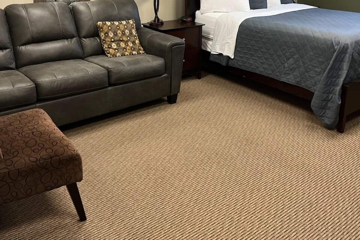 A hotel room with a bed, a sofa, a nightstand, a lamp, and a carpeted floor.