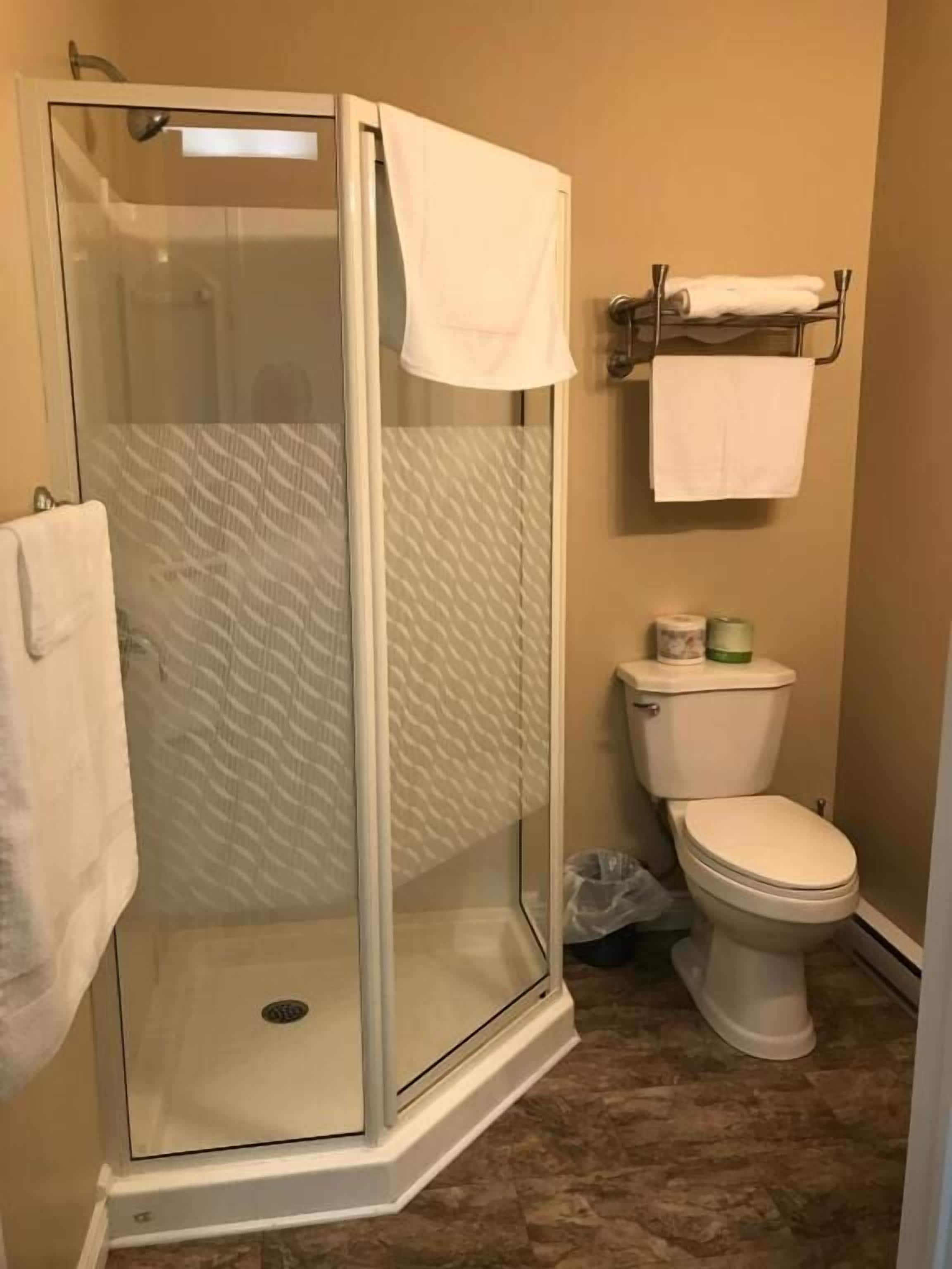 Un baño con ducha de vidrio, inodoro y toallero.