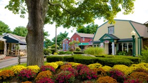 A building with a green roof and a large tree in front. - Mystic Home perfect for families- Easy walk to downtown. . (Mystic)