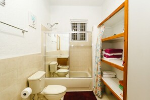 Bathtub, hair dryer, bidet, towels