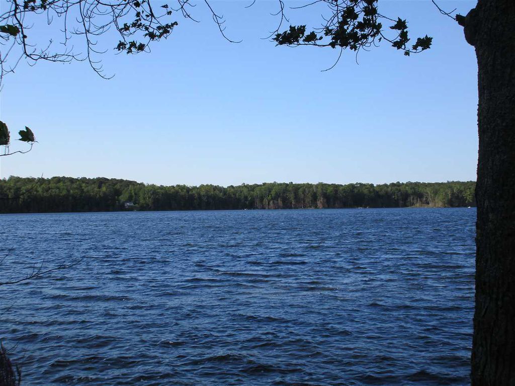 Un lago con una orilla boscosa y el tronco de un árbol en primer plano.