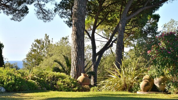 Una piscina con vistas despejadas al mar, rodeada de exuberante vegetación y grandes árboles.