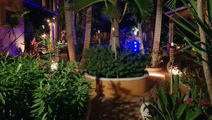 Un jardín exterior bien iluminado, con palmeras, diversas plantas e iluminación decorativa.