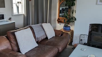 Smart TV, fireplace, DVD player