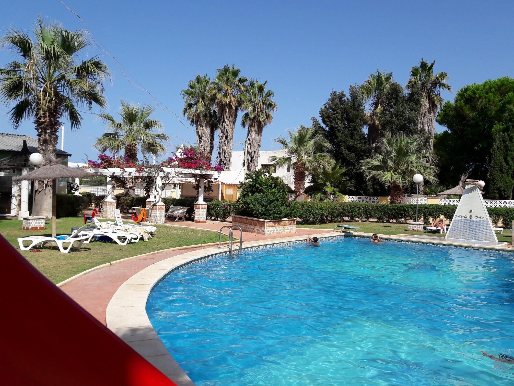 A swimming pool with lounge chairs and palm trees.