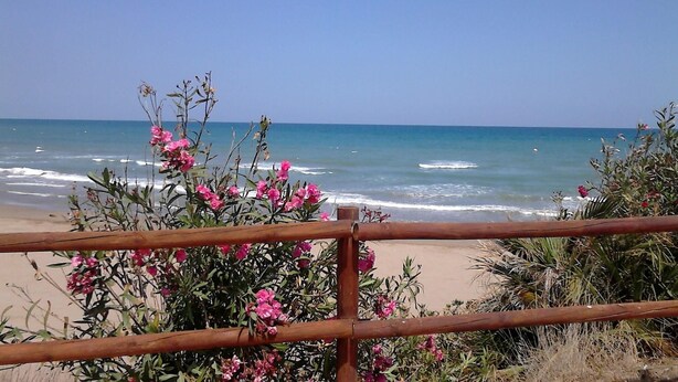 Vista sulla spiaggia con una recinzione in legno sullo sfondo e fiori rosa.