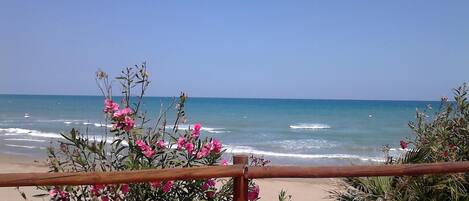 On the beach