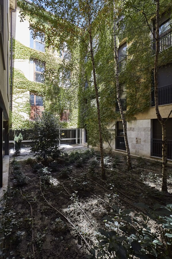 Property grounds - El Patio de la Catedral (Salamanca)