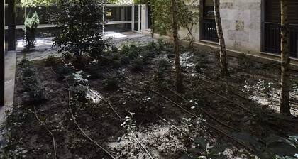 El Patio de la Catedral