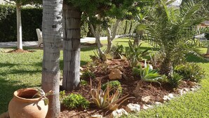 Un jardí amb diverses plantes, un test de terrissa gran i un tronc d'arbre.
