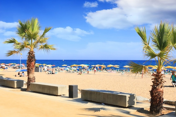 Una spiaggia nelle vicinanze