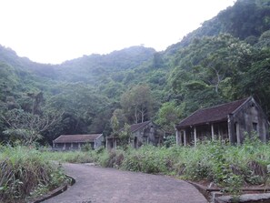 Property grounds - The Ancient House (Hai Phong)