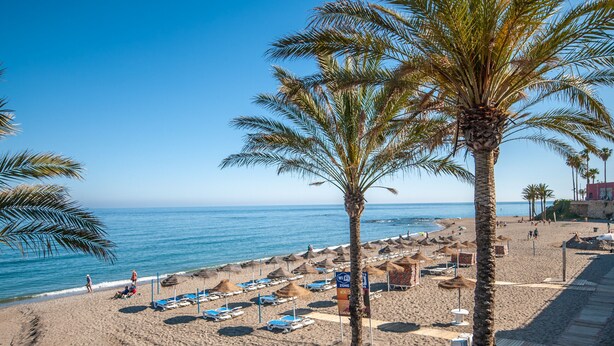 Ein Strand mit Palmen, Liegestühlen und Sonnenschirmen.
