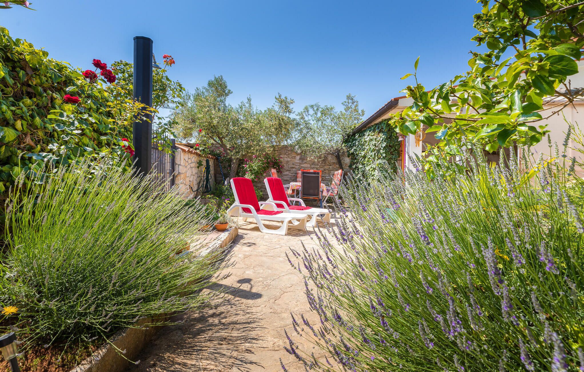 A garden pathway leading to a seating area with red chairs and a table, surrounded by lush greenery and lavender plants.