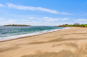 A beach with a sandy shore and a grassy hill with buildings in the distance.