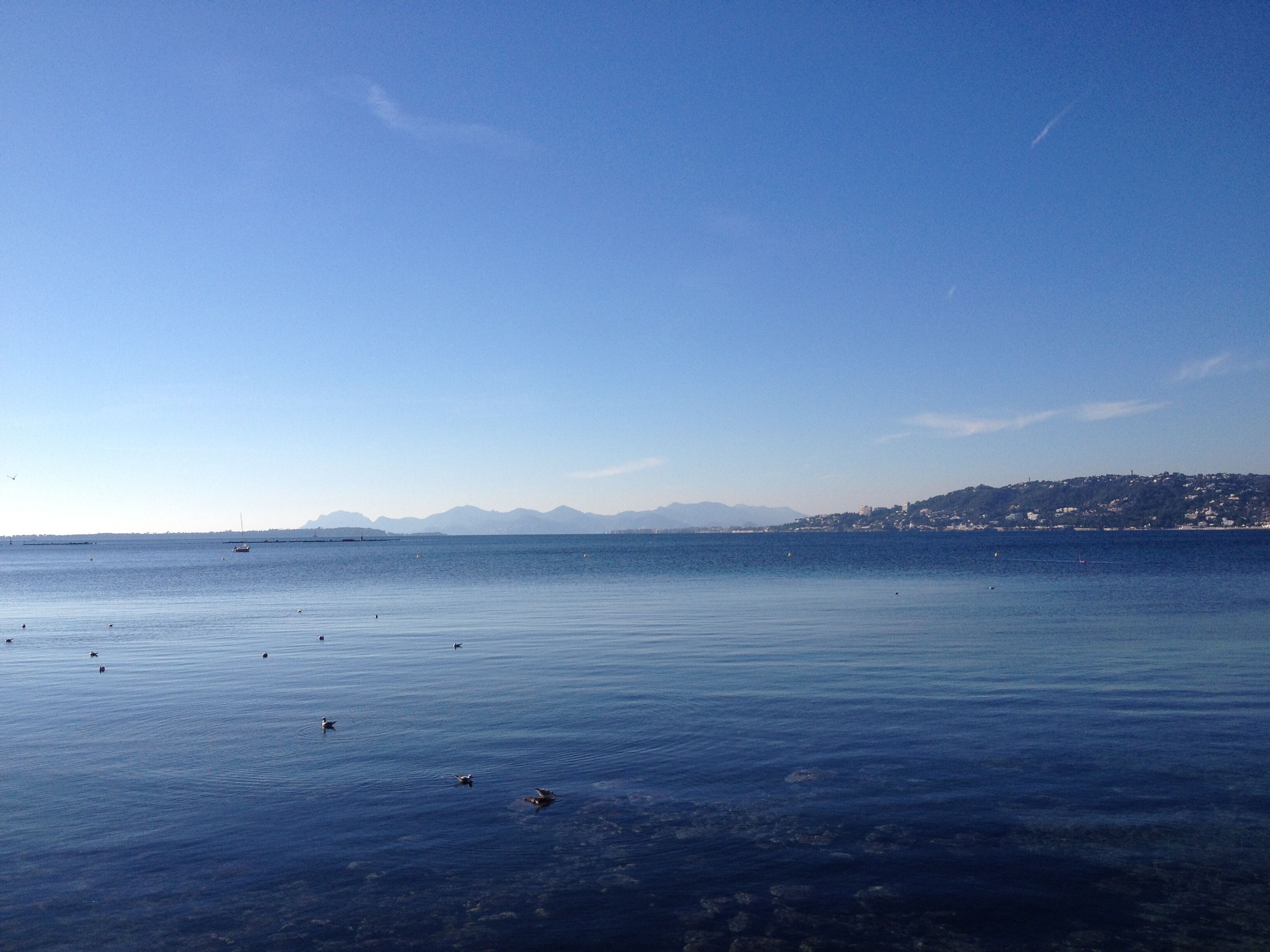 A calm sea with a clear sky and distant mountains.