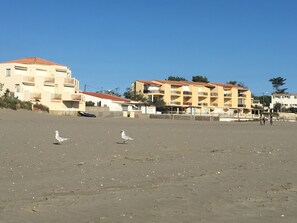 Ein Sandstrand mit Gebäuden im Hintergrund.