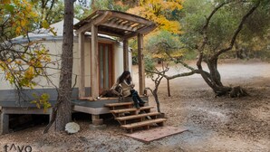 Une structure rustique en bois, avec un banc et une petite table, entourée d’arbres et posée sur un sol en terre battue.