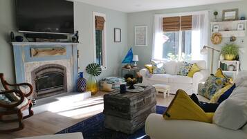 Smart TV, fireplace, books