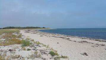 Beach nearby, sun loungers, beach towels