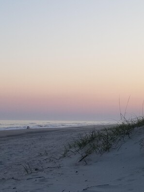 A beach with sand and sparse vegetation. - RARE "DOUBLE UNIT"   BEAUTIFUL Deluxe Studio Condo just steps to the ocean!  (Atlantic Beach)