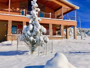 Exterior - Large 700sft downstairs rental.1 bedroom 1 bedroom. No other guests on property  (Ruidoso)