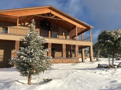 Large downstairs rental.1 bedroom.Full size kitchen.walk in shower No sharing