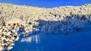 A snow-covered landscape with a house and trees. - Large downstairs rental.1 bedroom.Full size kitchen.walk in shower No sharing  (Ruidoso)