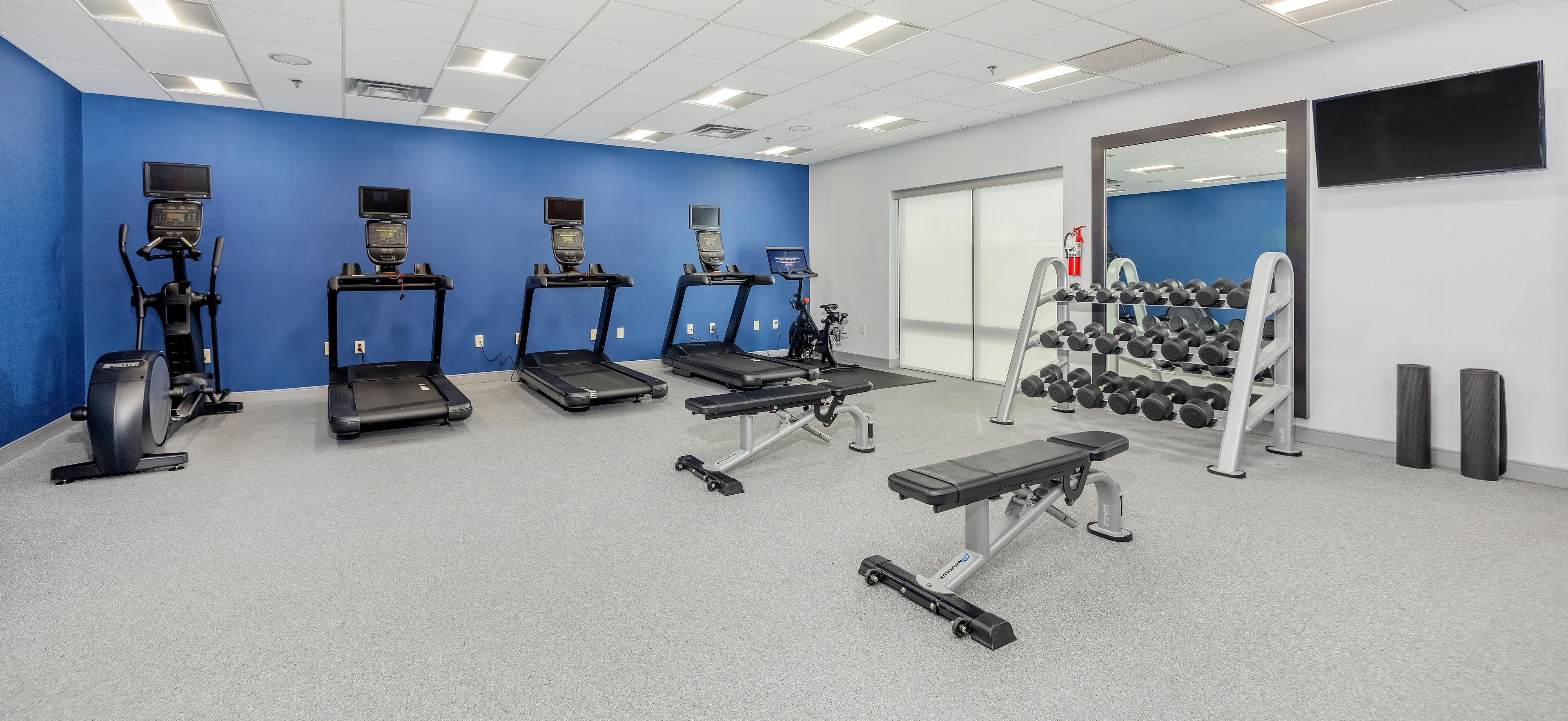 A gym with treadmills, a bench, and a rack of dumbbells.