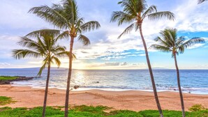 A beach with palm trees and ocean views. - Beachfront Condo B303 - December 13-27 Still Available! (Kihei)