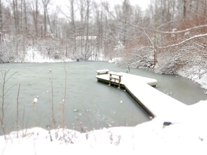 Unclassified image, 5 of 42, button